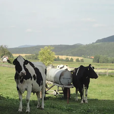 Апартаменты Monteurwohnungen Goeb - Nicht Fuer Urlaubsgaeste *